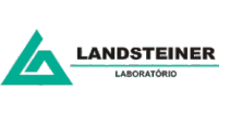 logo lsblsndsteiner2